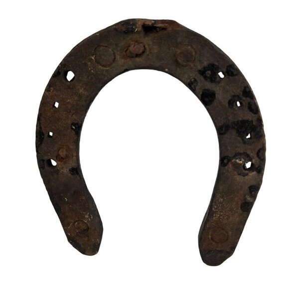 Horseshoe Metal Hat Hanger, Tool Holder Workhorse size shoe With Rustic Western - Picture 5 of 6